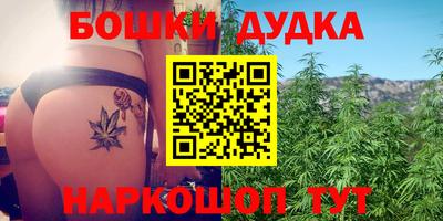 эйфоретик Дубна