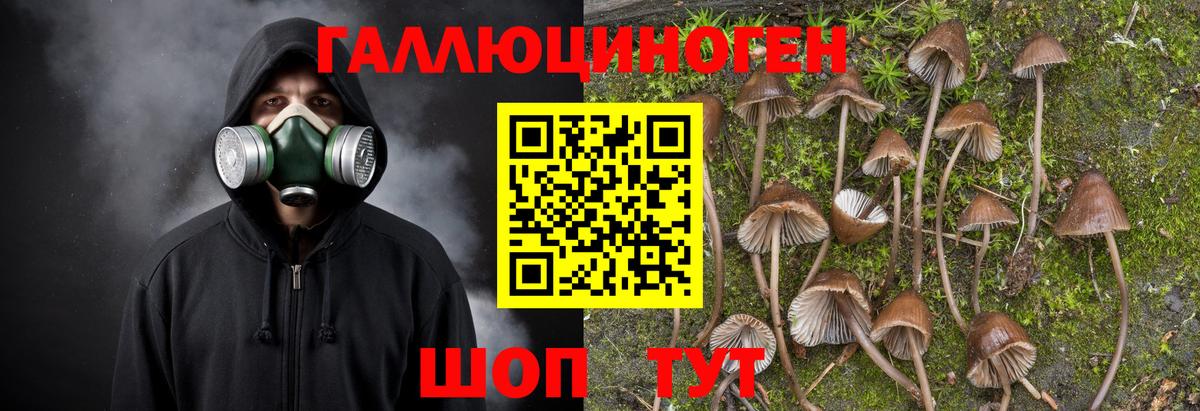 Псилоцибиновые грибы ЛСД Десногорск